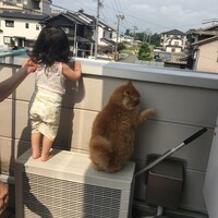 憎めない相手