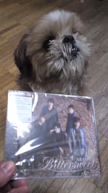 Bittersweet ♪♪♪