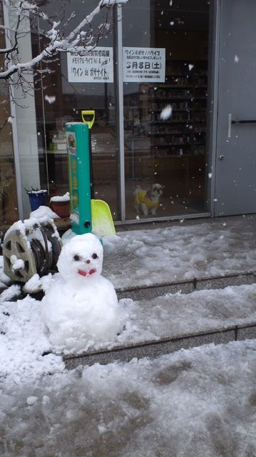 雪ダルマ♪