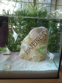 なんだかんだと・・・
